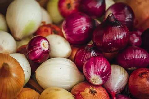 Продуктові ярмарки у Києві: де купити свіжі овочі та фрукти сьогодні