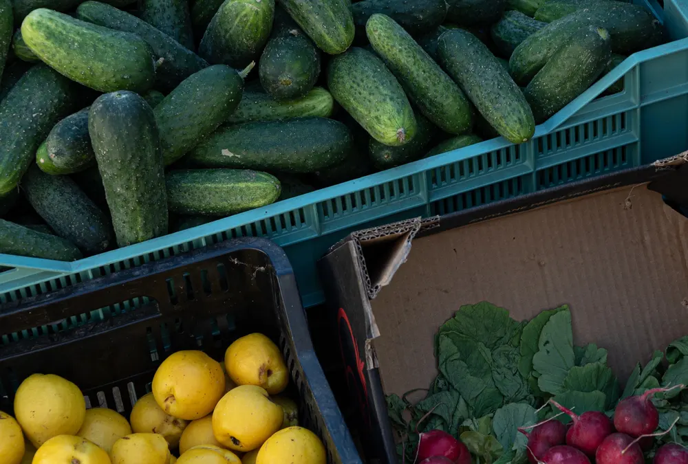 У шести районах Києва сьогодні працюють продуктові ярмарки: адреси