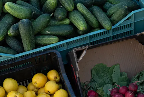 У шести районах Києва сьогодні працюють продуктові ярмарки: адреси
