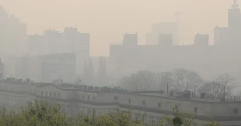 У Вишневому та Броварах погіршилася якість повітря