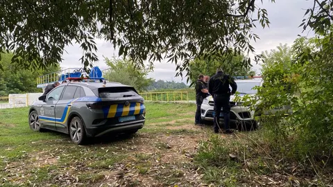 У річці Ірпінь на Київщині загинули понад 4 тисячі рибин