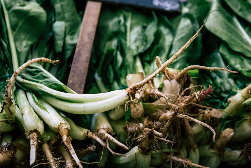 У шести районах Києва сьогодні працюють продуктові ярмарки
