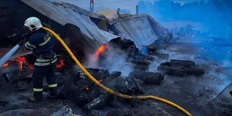 Пожежа у притулку «Сіріус» на Київщині: загинуло восьмеро собак