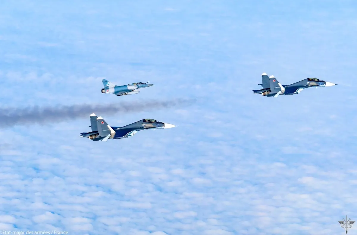 У Литві через зграю птахів піднімали винищувачі НАТО і зупиняли аеропорт Вільнюса