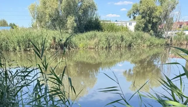 Масова загибель риби у водоймах Борщагівки: мешканців просять бути обережними