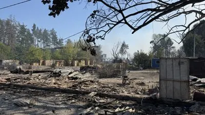 Після трагедії в Милій Міноборони ініціювало аудит складів зброї