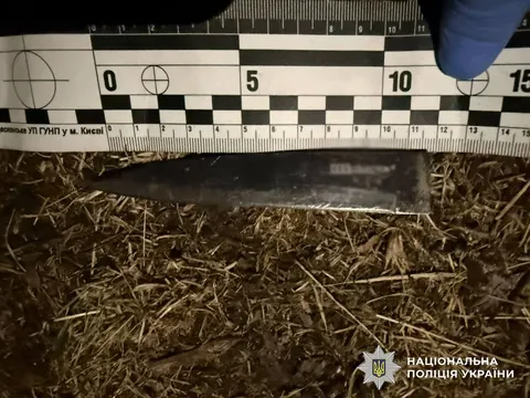 У Деснянському районі Києва затримали чоловіка, підозрюваного у вбивстві співмеш