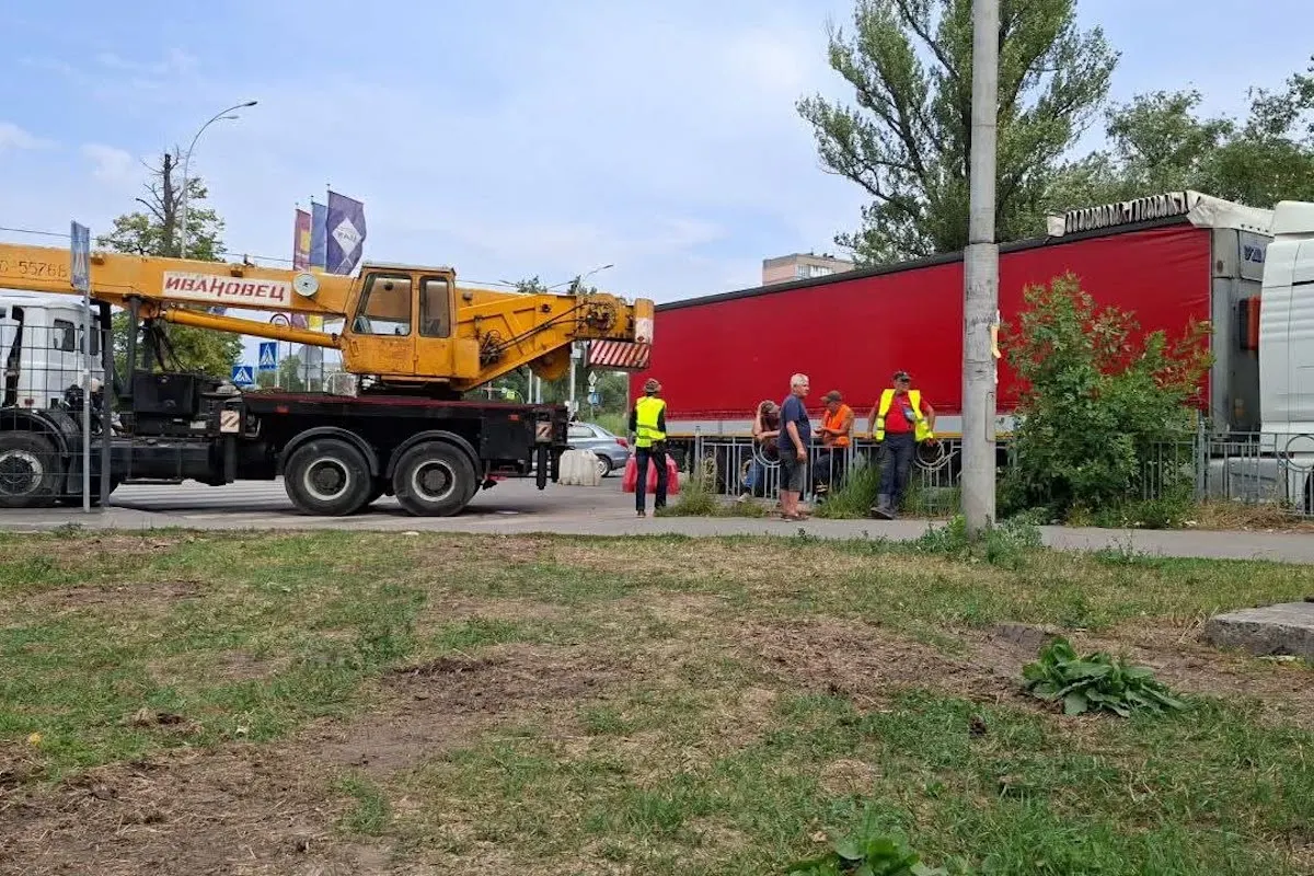 КМДА спростовує відновлення вирубки дерев на Теремках