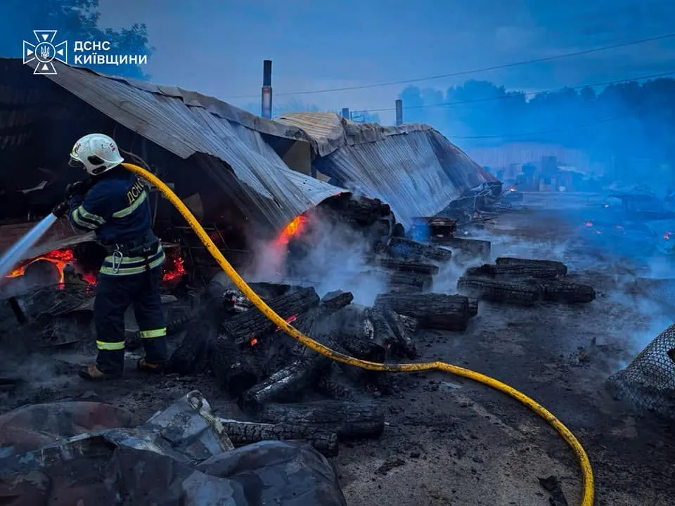 Пожежа у притулку «Сіріус» на Київщині: загинули вісім собак