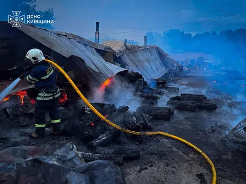 Пожежа у притулку «Сіріус» на Київщині: загинули вісім собак