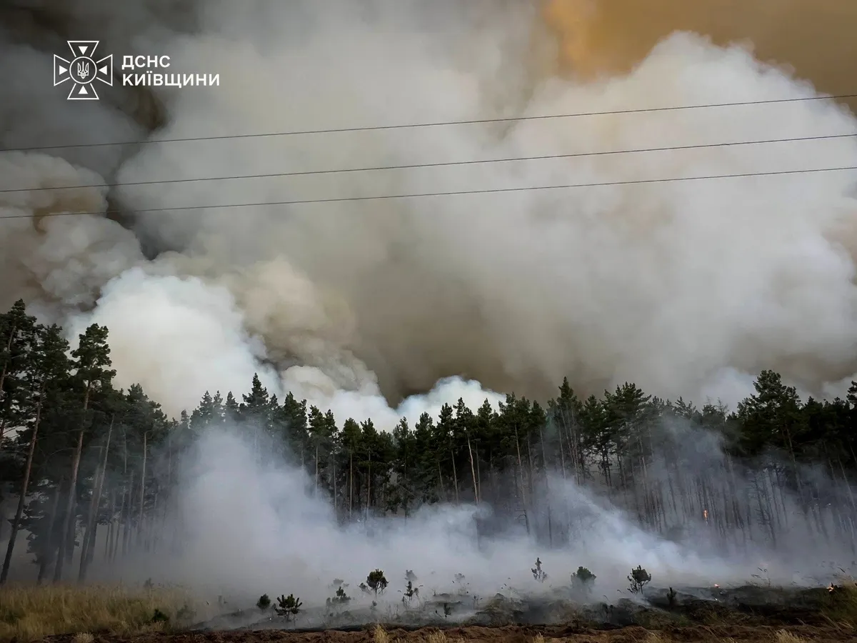 Під Борисполем рятувальники гасять масштабну лісову пожежу