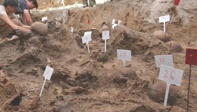 На Волині завершили ексгумації: знайдено останки понад пів сотні людей
