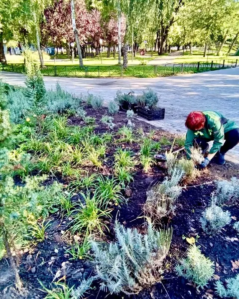Куренівський парк у Києві прикрасили пів тисячі нових рослин