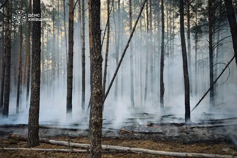 На Київщині триває ліквідація масштабної лісової пожежі