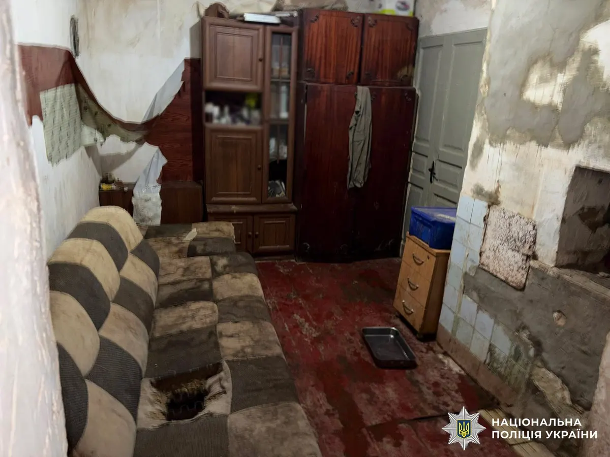 У Києві з розплідника вилучили близько 30 виснажених доберманів