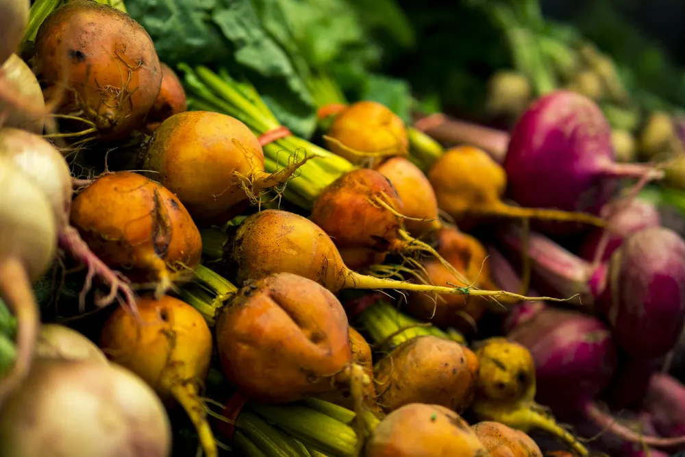 Продуктові ярмарки у Києві: де сьогодні вигідно закупитися