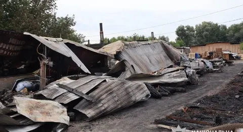 Пожежа у притулку на Вишгородщині: загинули тварини, поліція відкрила справу