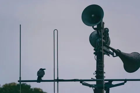 Texty.org.ua показали графік щільності повітряних тривог у Києві
