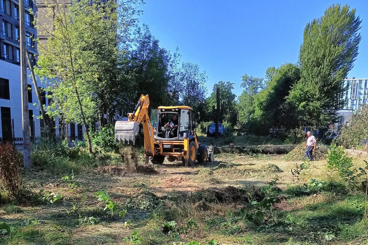 На Теремках замість 662 зрізаних дерев обіцяють висадити нові