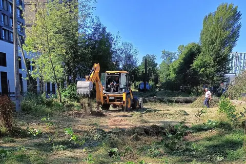 На Теремках замість 662 зрізаних дерев обіцяють висадити нові