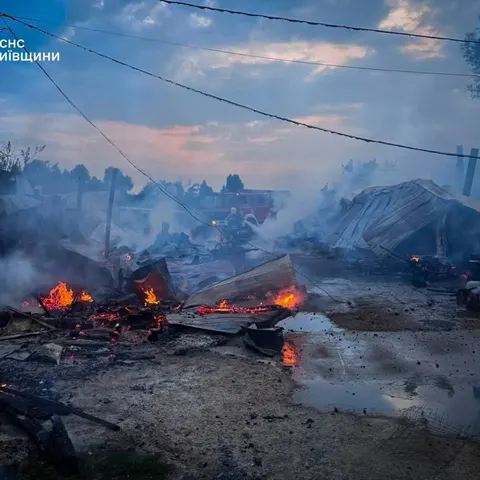 Пожежа у притулку «Сіріус» на Київщині: 8 собак загинули, 70 врятовано