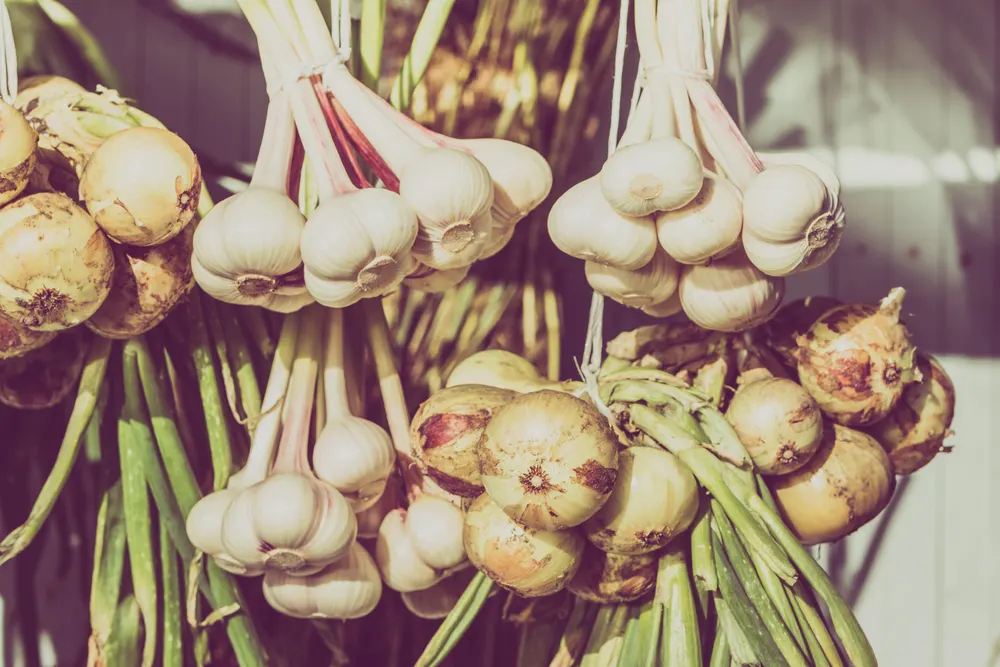 Фермерські ярмарки у Києві: де сьогодні купити свіжі продукти