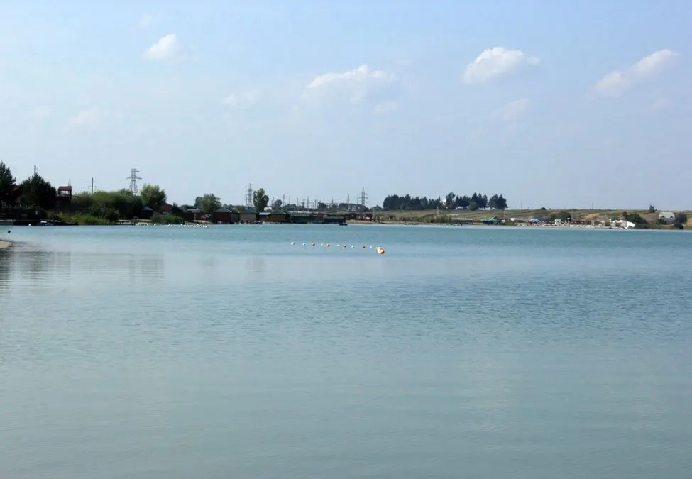 На Київщині у водоймах Борщагівки загинуло близько трьох тонн риби