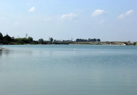 На Київщині у водоймах Борщагівки загинуло близько трьох тонн риби