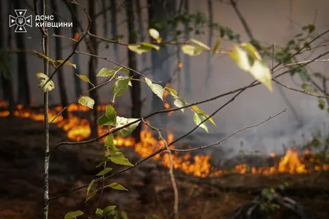 На Київщині з 1 до 3 вересня — надзвичайна пожежна небезпека