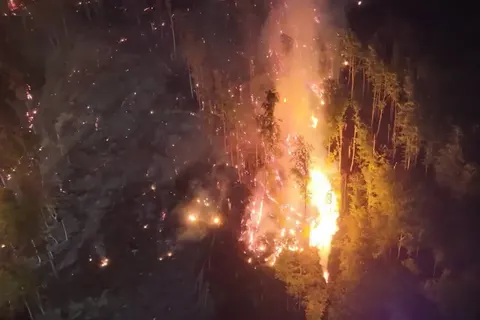 На Закарпаті другий день гасять лісову пожежу біля Сасівки