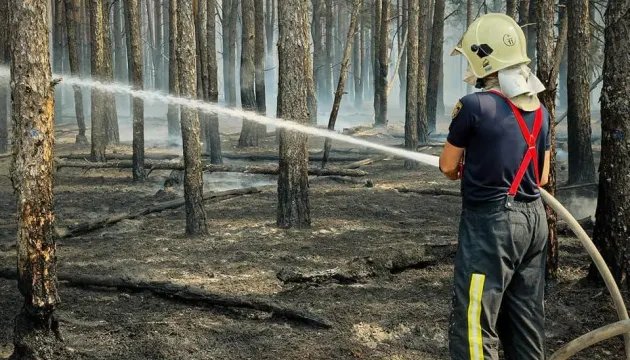 На Київщині ліквідовують масштабну лісову пожежу