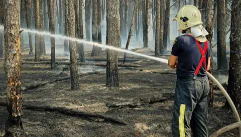 На Київщині ліквідовують масштабну лісову пожежу