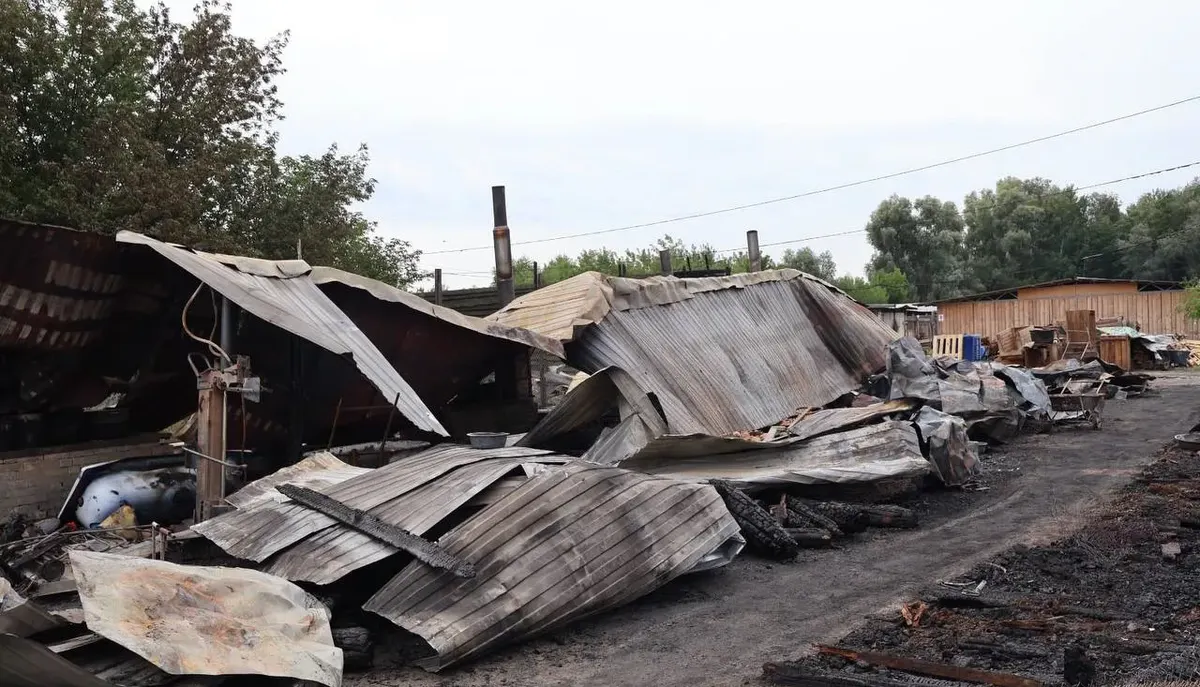 Пожежа у притулку для тварин на Київщині: загинули тварини