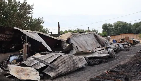 Пожежа у притулку для тварин на Київщині: загинули тварини