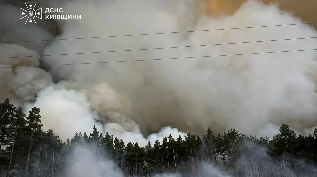 Лісова пожежа на Київщині: фронт вогню сягає кількох кілометрів