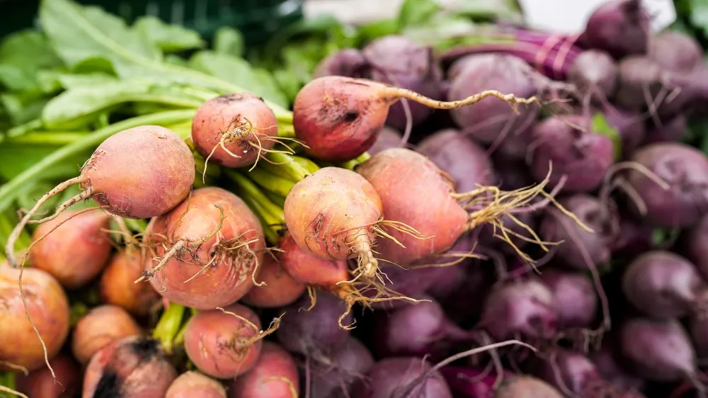 Продуктові ярмарки у Києві: адреси на вихідні