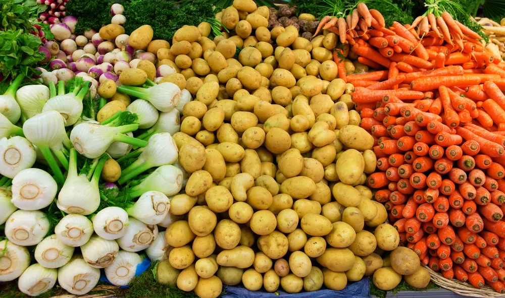Продуктові ярмарки у Києві: де закупитися сьогодні, 2 серпня
