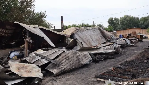 У притулку «Сіріус» на Київщині сталася пожежа: загинули тварини