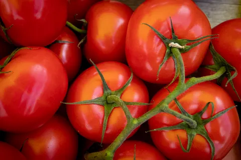Продуктові ярмарки у Києві: графік та адреси на тиждень