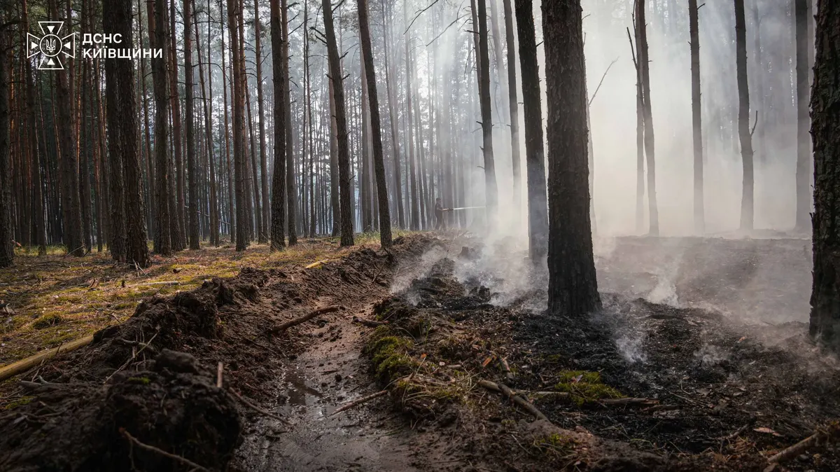 Лісова пожежа на Київщині: вогонь охопив 2500 гектарів