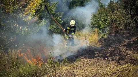 На Київщині оголосили надзвичайний рівень пожежної небезпеки