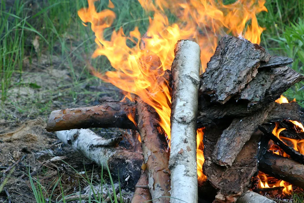 На Київщині оголосили надзвичайну пожежну небезпеку: штрафи за вогнища