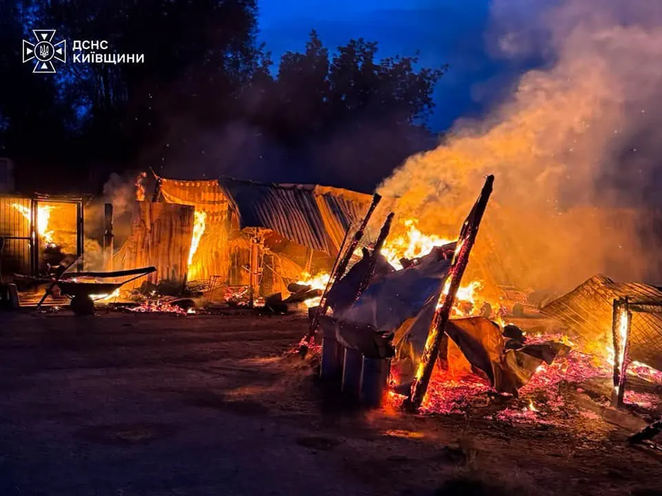 Пожежа у притулку «Сіріус» на Київщині: загинули вісім тварин