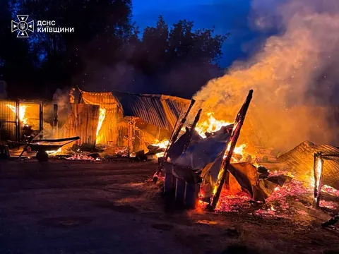 Пожежа у притулку «Сіріус» на Київщині: загинули вісім тварин