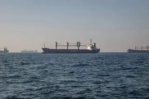 Новоросійськ зупинив відвантаження зерна: що це означає для ринку