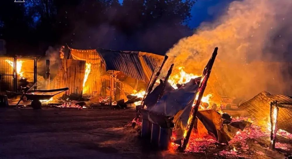У Федорівці вогонь знищив частину притулку для тварин «Сіріус»