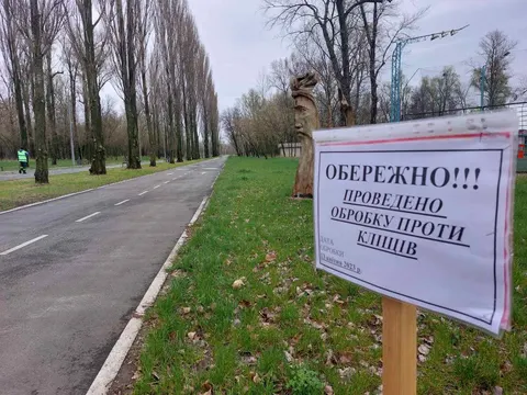 Майже половина кліщів у Києві переносять бореліоз — лікар