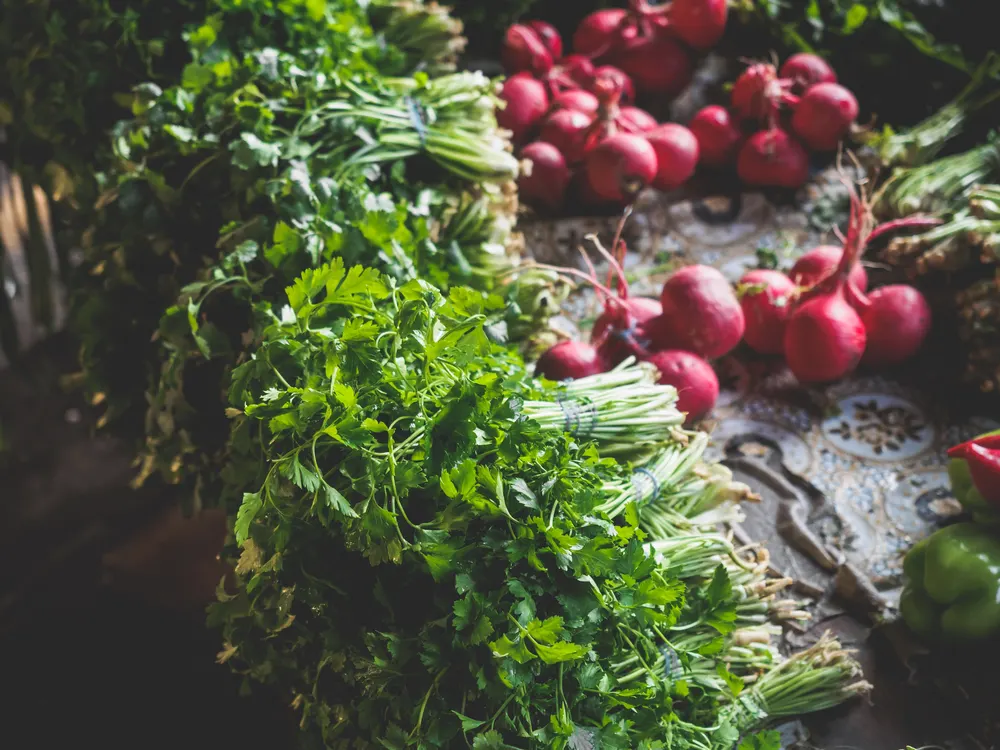 Сьогодні у Києві працюють продуктові ярмарки: адреси