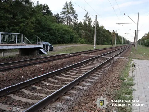 На станції Вишняки під потягом загинула 83-річна жінка з Києва