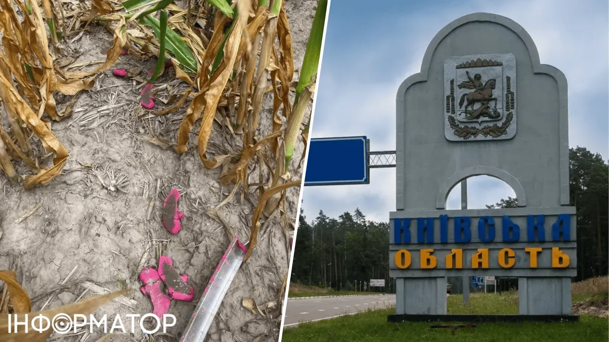 На Київщині виявили близько 20 протипіхотних мін «Пелюстка» біля Гоголева